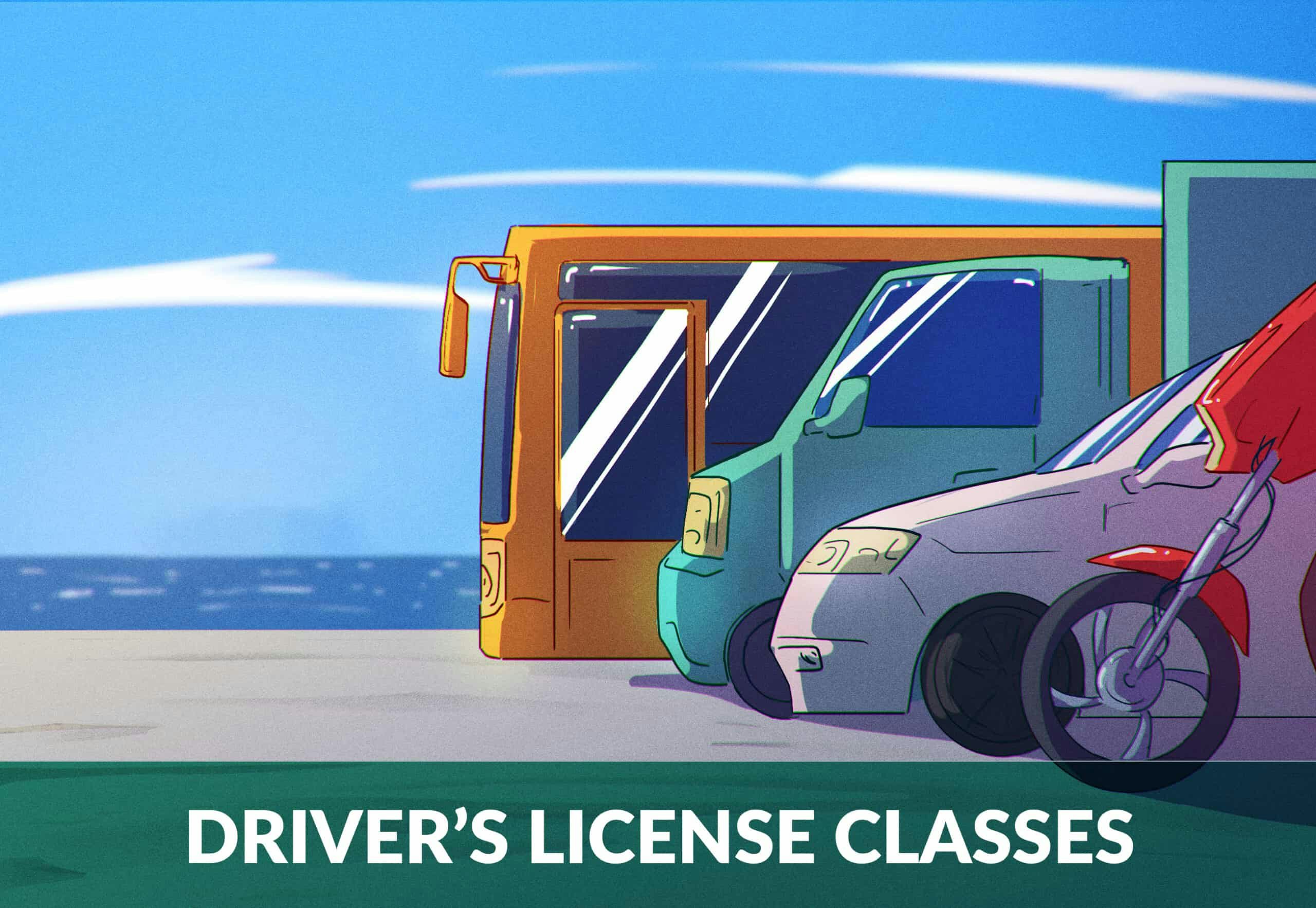 Driving License categories